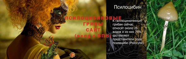 каннабис Алзамай
