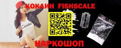 крисы Можга