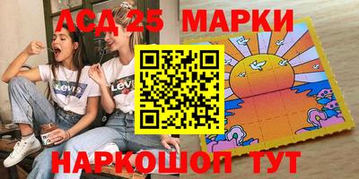 крисы Можга