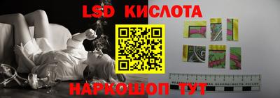 крисы Можга