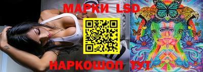 крисы Можга