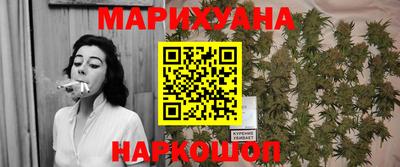 крисы Можга