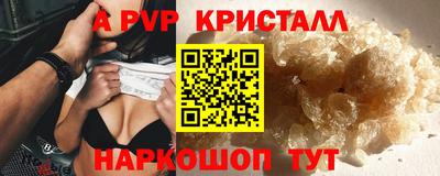 крисы Можга