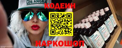 крисы Можга