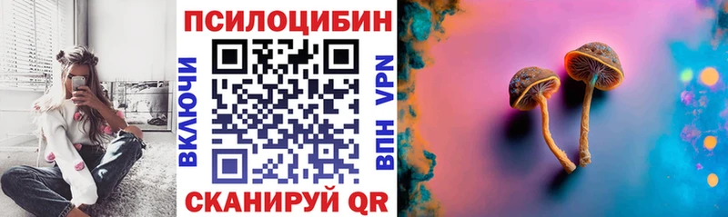 купить закладку Ставрополь Псилоцибиновые грибы Cubensis