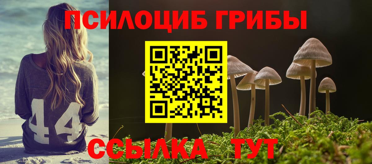 сколько стоит  Галлюциногенные грибы Cubensis  Ставрополь  Вход с VPN  Галлюциногенные грибы GOLDEN TEACHER 