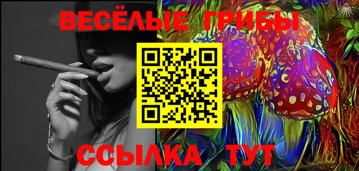 Галлюциногенные грибы ЛСД Ставрополь